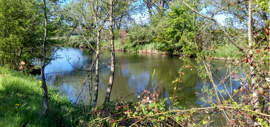 batuv kanal jaro